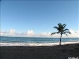 Ocean Park - SAN JUAN